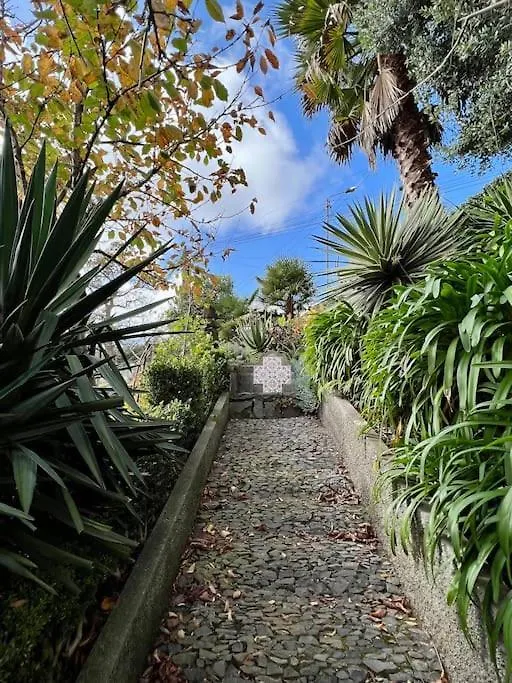 Quinta Belmonte With Private Heated Pool In Funchal Βίλα