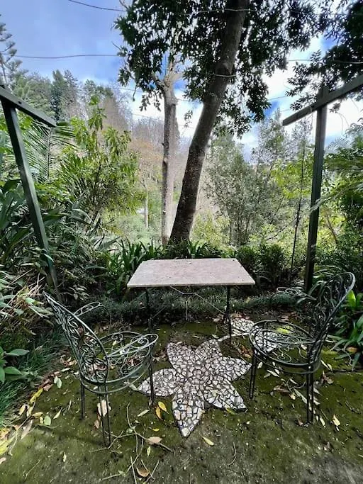 Quinta Belmonte With Private Heated Pool In Funchal Βίλα 0*, Φουνκάλ
