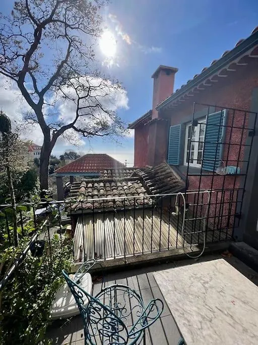 Quinta Belmonte With Private Heated Pool In Funchal Βίλα