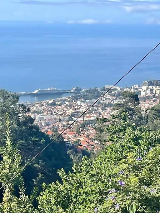Quinta Belmonte With Private Heated Pool In Funchal Βίλα 0*, Φουνκάλ Πορτογαλία