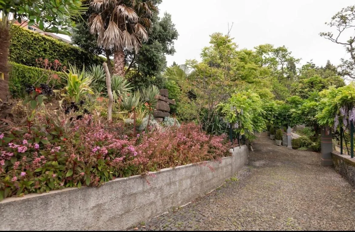 Quinta Belmonte With Private Heated Pool In Funchal Βίλα Φουνκάλ