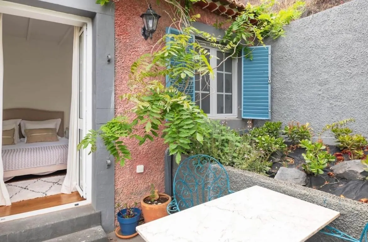 Quinta Belmonte With Private Heated Pool In Funchal Βίλα